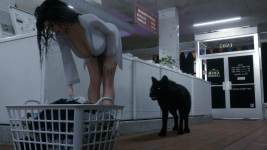 Laundry04.png