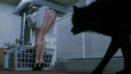 Laundry05.png