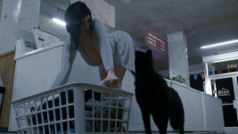 Laundry07.png