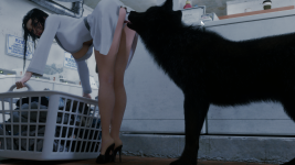 Laundry08.png