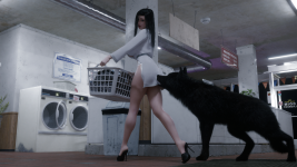 Laundry11.png
