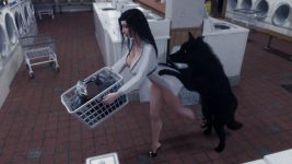 Laundry13.png