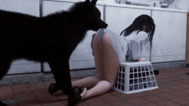 Laundry16.png
