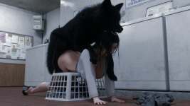 Laundry27.png