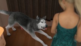 8 (109).jpg