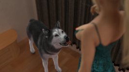 8 (111).jpg