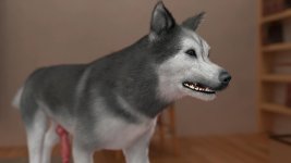 8 (117).jpg