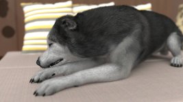 8 (120).jpg