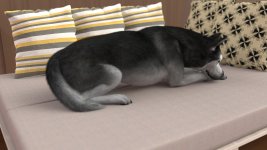 8 (198).jpg
