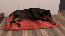 9 (172).jpg