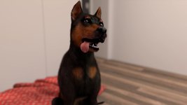 9 (217).jpg