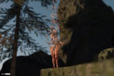 Anomalous Games - Part 02 - 25.jpg