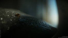 ES7_E07_005.jpg