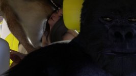 c1322k674577270d7ab.jpg