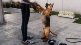 p02.png