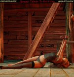 Tribute-to-Red-Feline-006.jpg