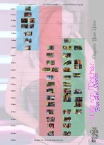 St-9pol - CH5 Timeline story board.jpg