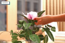 Bloom U - Part 05 - 34.jpg