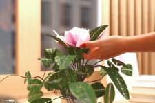 Bloom U - Part 05 - Extra Angles - 072.jpg