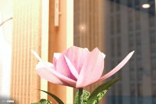 Bloom U - Part 05 - Extra Angles - 134.jpg