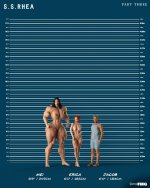 S.S. Rhea - Part 03 - Height Chart - 02.jpg