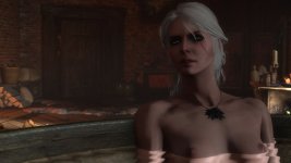 Last_night_in_Velen_09_NWNT.jpg