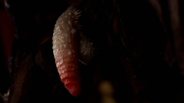 46.png