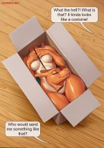 Mystery Package  002.jpg