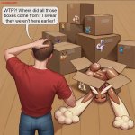 Mystery Package  038.jpg