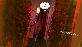 TSBX-013.png