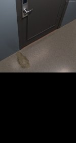 0050.jpg