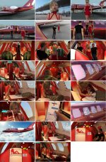 airline scene_6279aa5de13a9.jpg