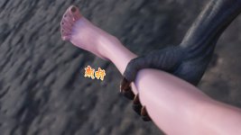 105.jpg