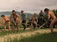 288：wayne_farm_slave_seasoning_by_crabbyoldman_df2fefd.webp