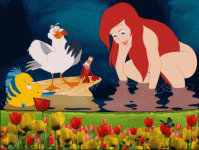 135.gif
