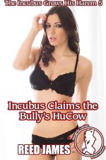 The Incubus Grows His Harem 5.jpg
