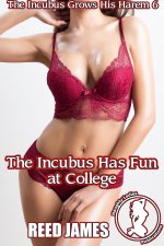 The Incubus Grows His Harem 6.jpg
