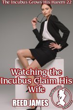 The Incubus Grows His Harem 22.jpg