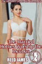 The Incubus Grows His Harem 24.jpg