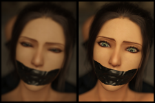 fading_light_3_preorder_4_by_sorakaheroine_dj1ek26.png