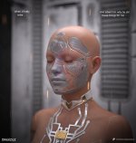 NieR_1eu.jpg