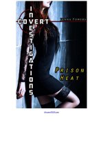 Covert Investigations 1_ Prison Heat - Jenna Powers.jpg