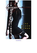Covert Investigations 3_ The Other Woman - Jenna Powers.jpg