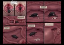 ins29.jpg