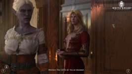 Witcher 1.png