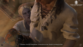Witcher 13.png