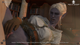 Witcher 22.2.png