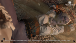 Witcher 26.png