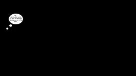313.webp