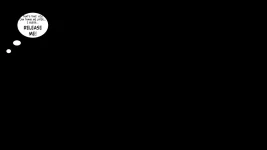 315.webp